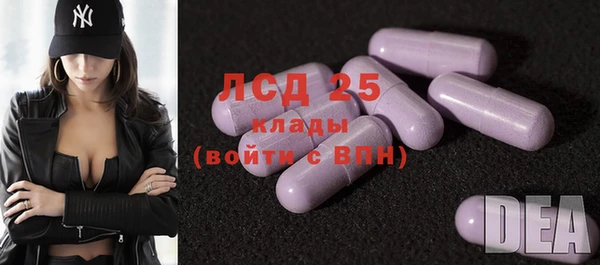стаф Покачи