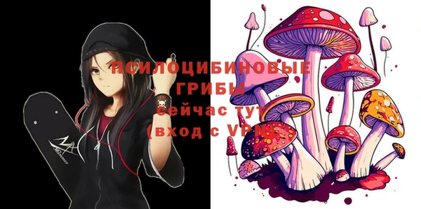 ГАЛЛЮЦИНОГЕННЫЕ ГРИБЫ Покровск
