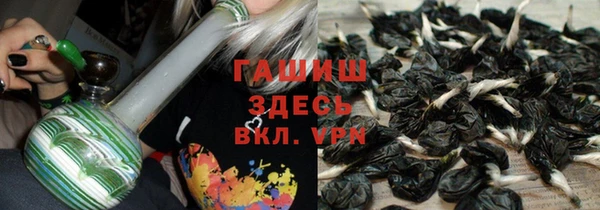 стаф Покачи