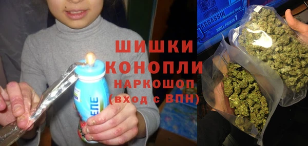 ГАЛЛЮЦИНОГЕННЫЕ ГРИБЫ Покровск