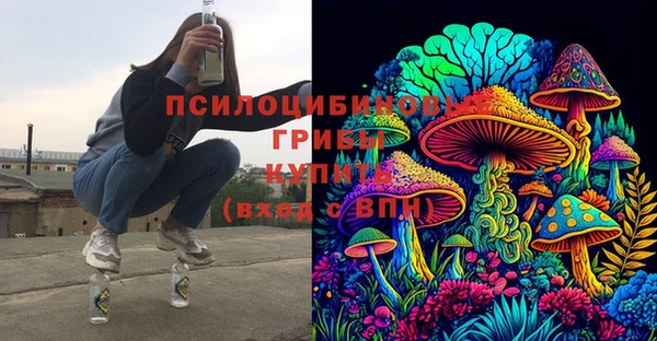 стаф Покачи