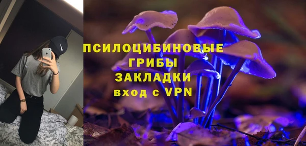 ГАЛЛЮЦИНОГЕННЫЕ ГРИБЫ Покровск